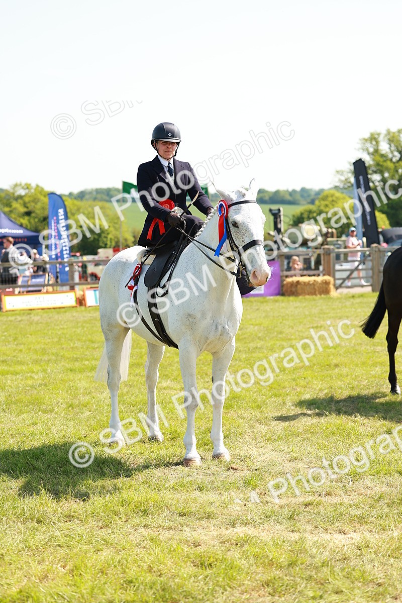 SBM_13446 - Class 70-71 - Side Saddle