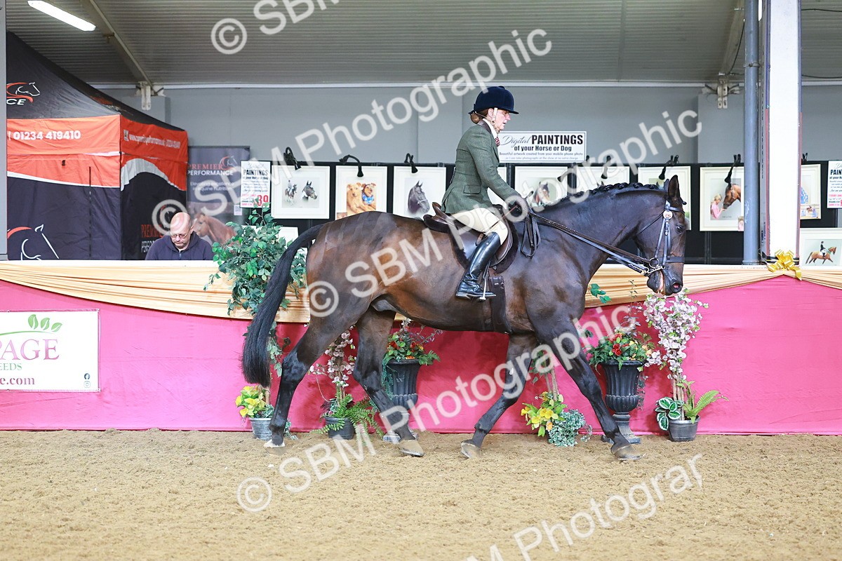 SBM_07610 - Class 101 - HOYS Veteran Qualifier - Ridden Diamond
