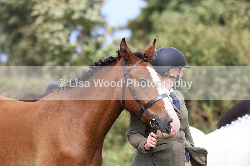 3E7A4640 - Class 16: Best Grass Kept