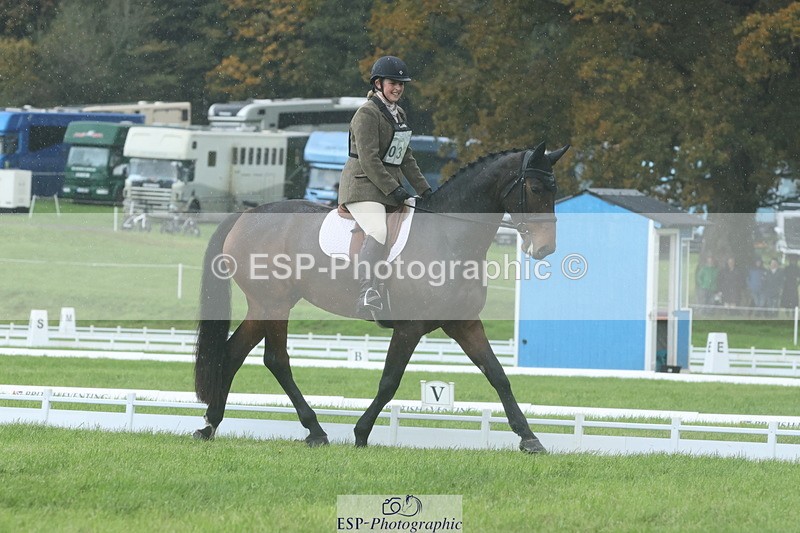 251023A-121716-03511 - D-322-Alice.Dalton