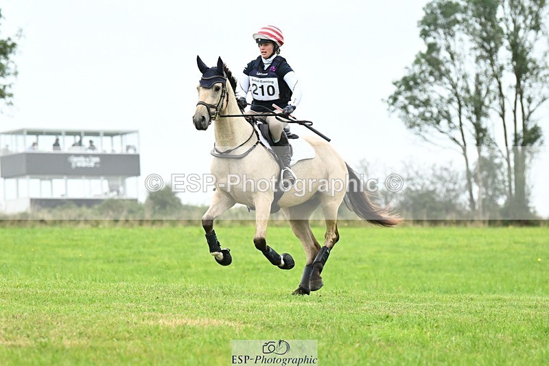 240831A-151628-04816 - 210-Zara.Head-FOURFIELDS.X.FAKTOR