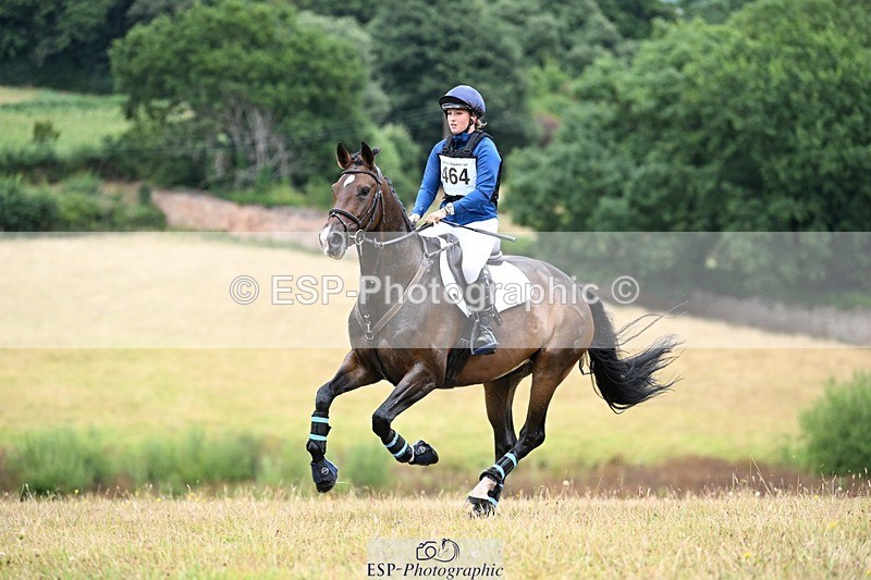 250803A-112055-11126 - K-464-Tamsin.Howard-HALAVELI