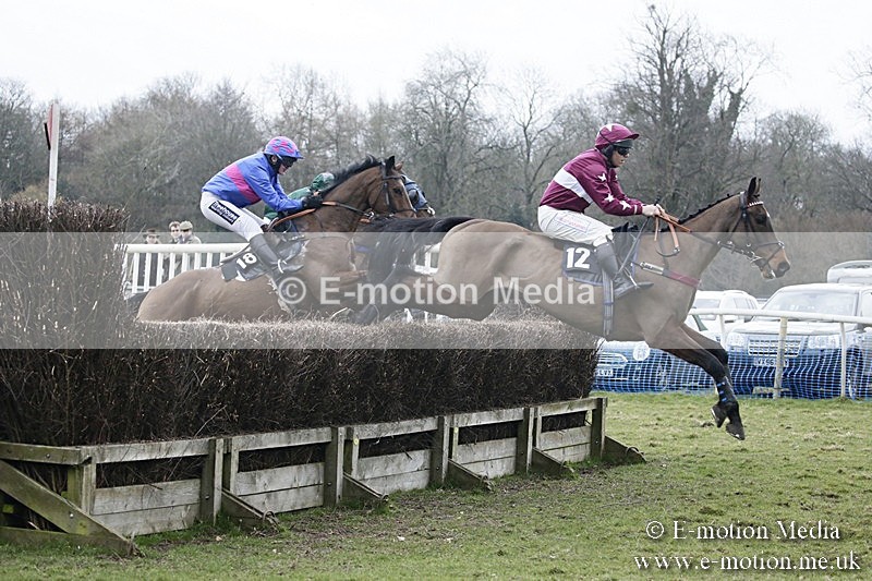 PtP 110318 542 - Hampshire Hunt Point-to-Point Hackwood Park 11/03/18