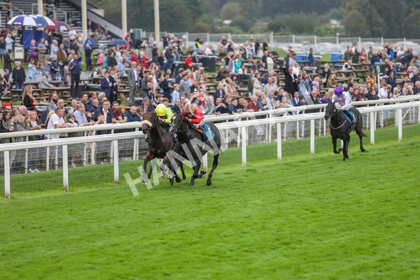 080924-Race 3-Brighton Boy-4394 - Race 3 2.50pm Irish Thoroughbred Marketing Nursery Handicap