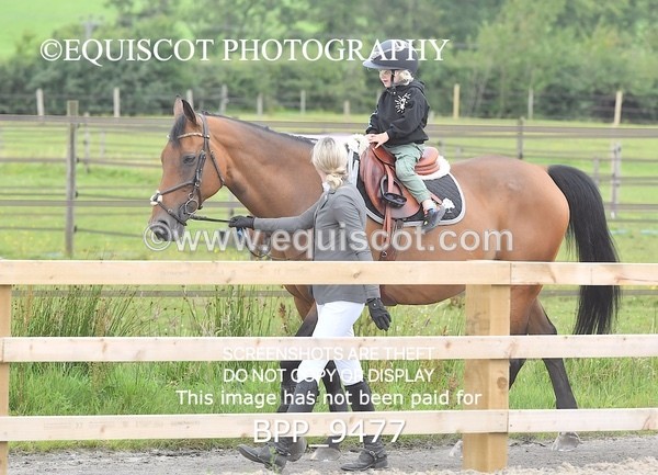 BPP_9477 - CLASS 7 Senior Newcomers/ 1.10m OpenSenior Newcomers/ 1.10m Open