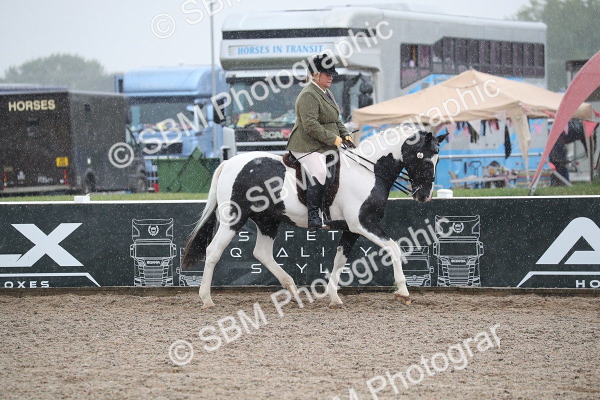 SBM_20419 - Class 601 - 2025 Area - Ridden Diamond