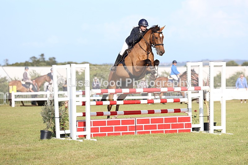 3E7A4346 - Class C: Showjumping Senior Foxhunter