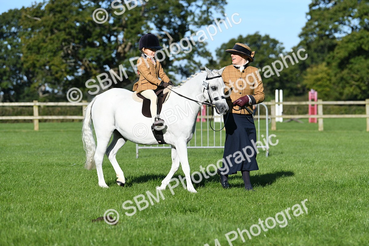 SBM_35372 - S17 - Condition & Turnout - Lead Rein