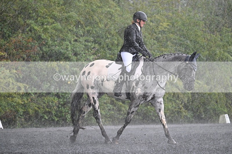 WJ7_8233 - Time 14:02 to 14:11