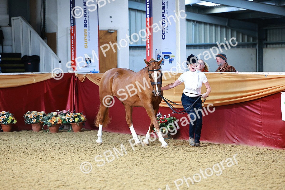 SBM_21729 - Class 901 - Supreme Final - IH  Diamond