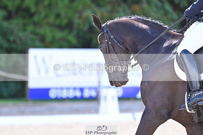 240809-114323-00558 - 191-Carole.Malyon-Diamonds.are.Forever