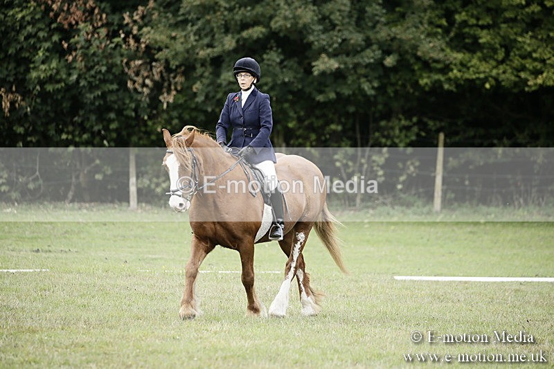 BVR080918 53 - BVRC Novice Dressage & CR 08/09/18
