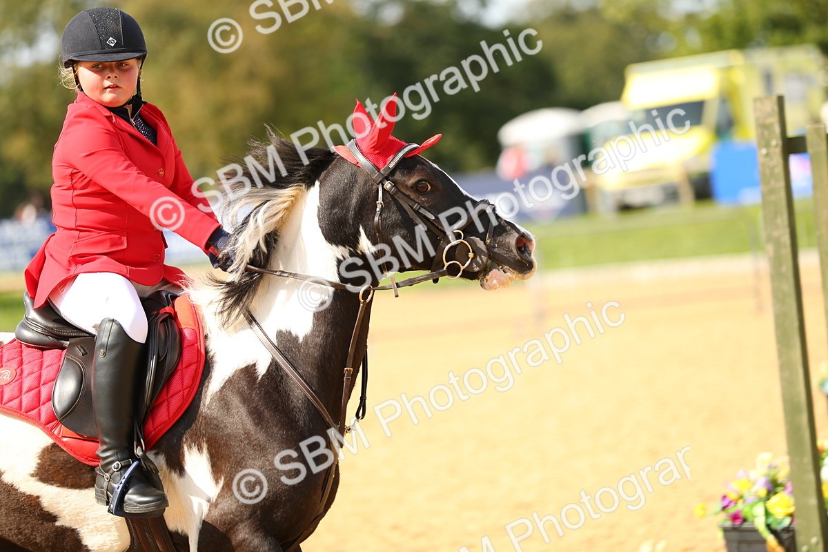 SBM_67930 - J17 - Junior Pony 80cm Championship