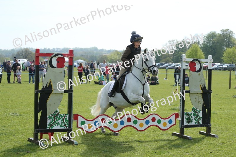20260426-1544 - Class 14 - Novice 60cm