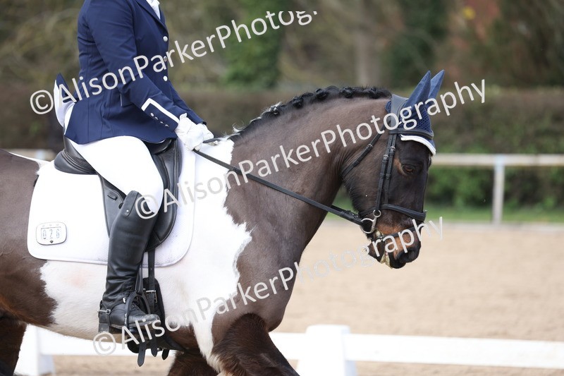 20260301-0664 - Class 4 - Novice 5