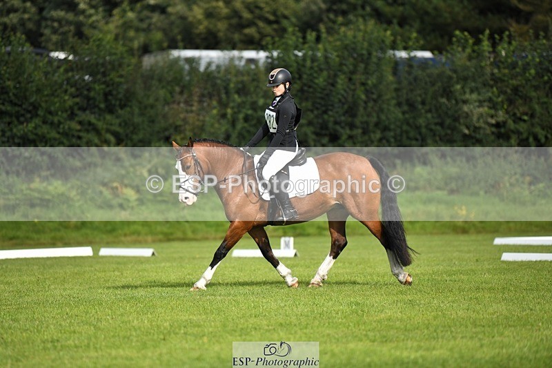 230826-094430-15216 - Sections C & D 9 to 10am