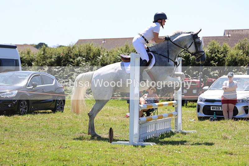 3E7A5603 - Class 9: Senior British Novice/90cm open