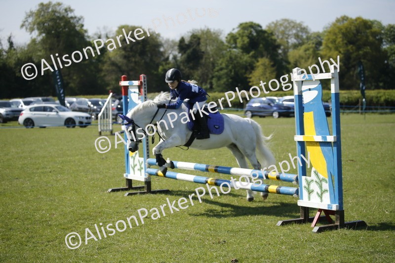 20250427-2056 - Class 13 - Novice Jumping 60cm