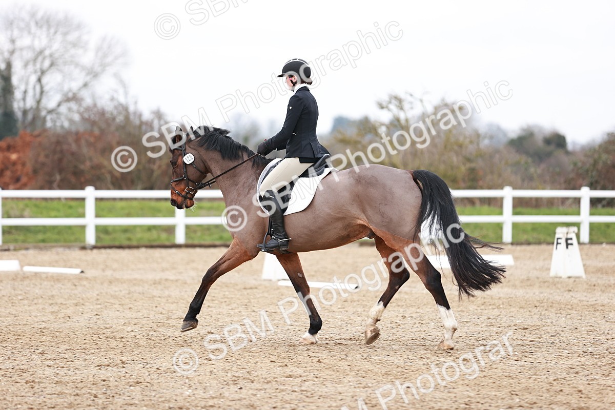 SBM_005243 - Elementary 1