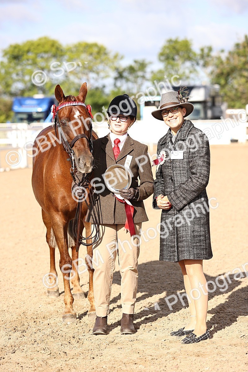 SBM_08537 - Class 402 - IH Veteran Pony