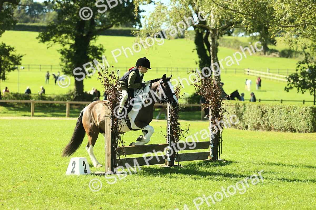 SBM_36521 - S29 - Novice & Newcomers Working Hunter Pony