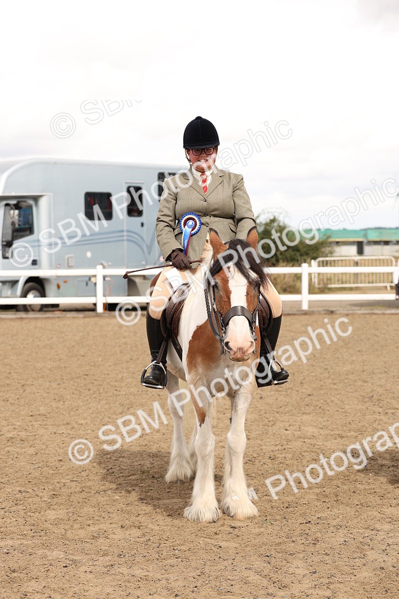 SBM_05238 - Class 56b -  Style & Performance - 50cm (20+)