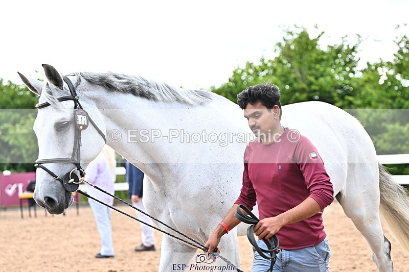 240718A-105327-02043 - Trot Up 2pm to 3pm - This folder is not in time order