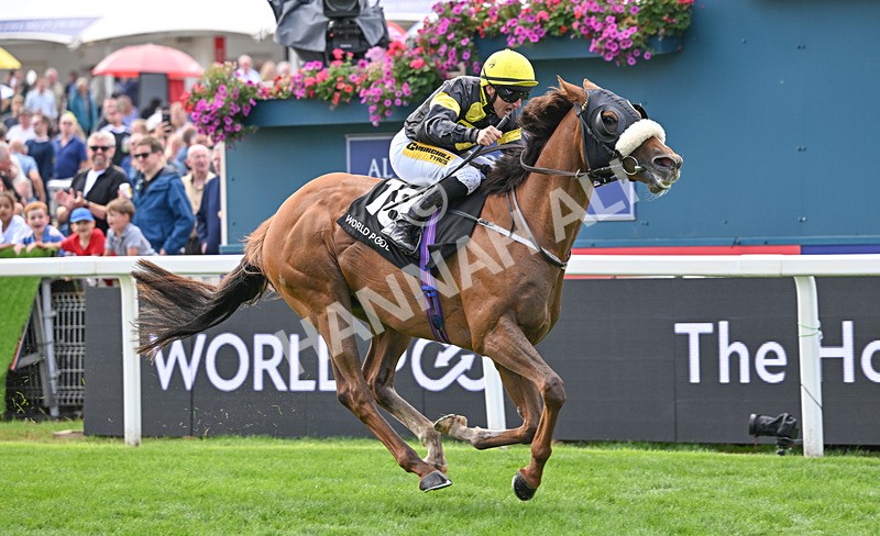 190826-016 Air Force One - Race 1 13.50pm Hong Kong Jockey Club World Pool Handicap