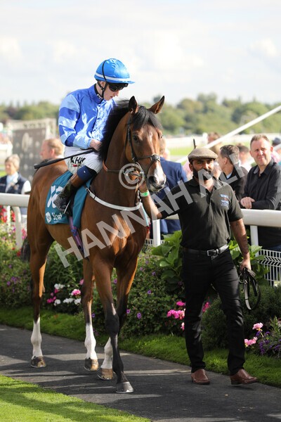 yr19082022r7-7 - Race 7 5.20pm Sky Bet Mile Stakes