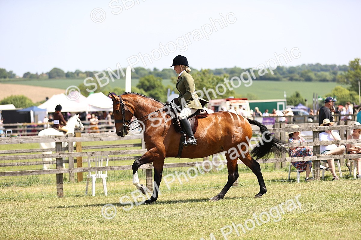 SBM_15084 - Class 79-80 - LIHS BSHA Rising Star Ridden Hunter