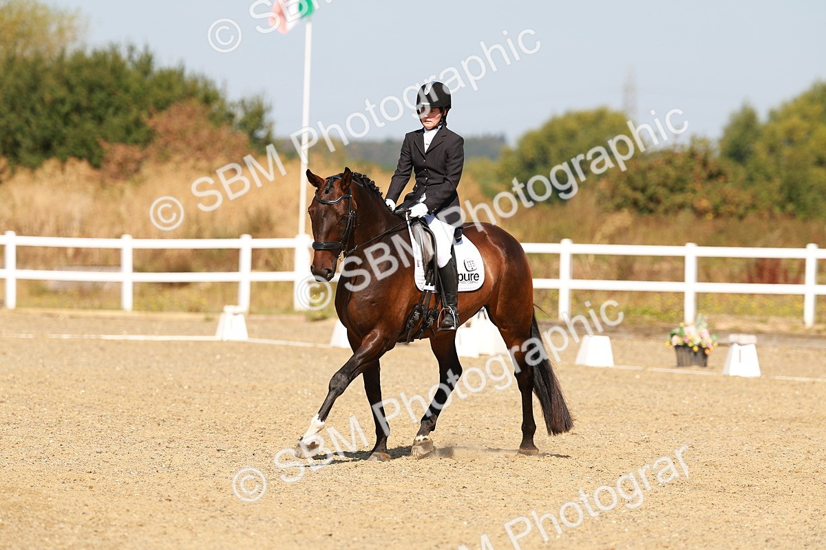 SBM_017667 - Class 9 - N5 Bronze 10.33.11.36