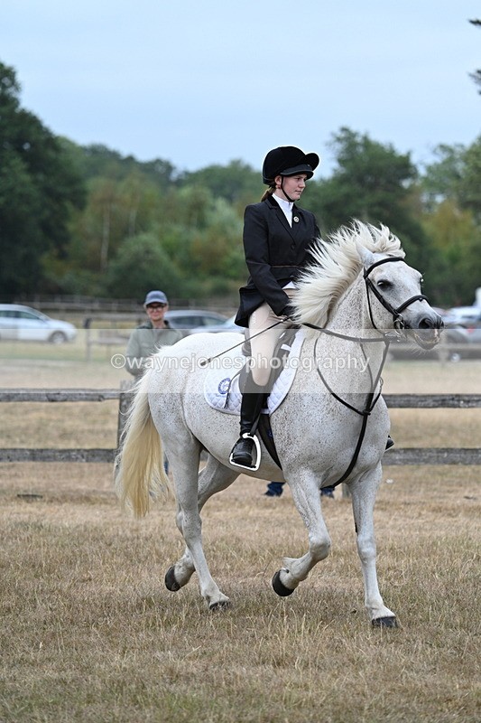 WJ7_1187 - Class 8 Ridden Veterans