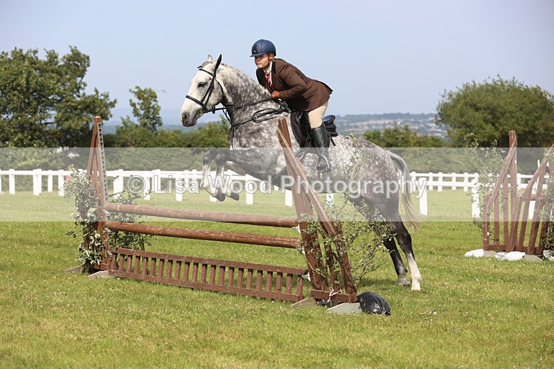 JPP_3992 - Class 24: Working Hunter 90cm