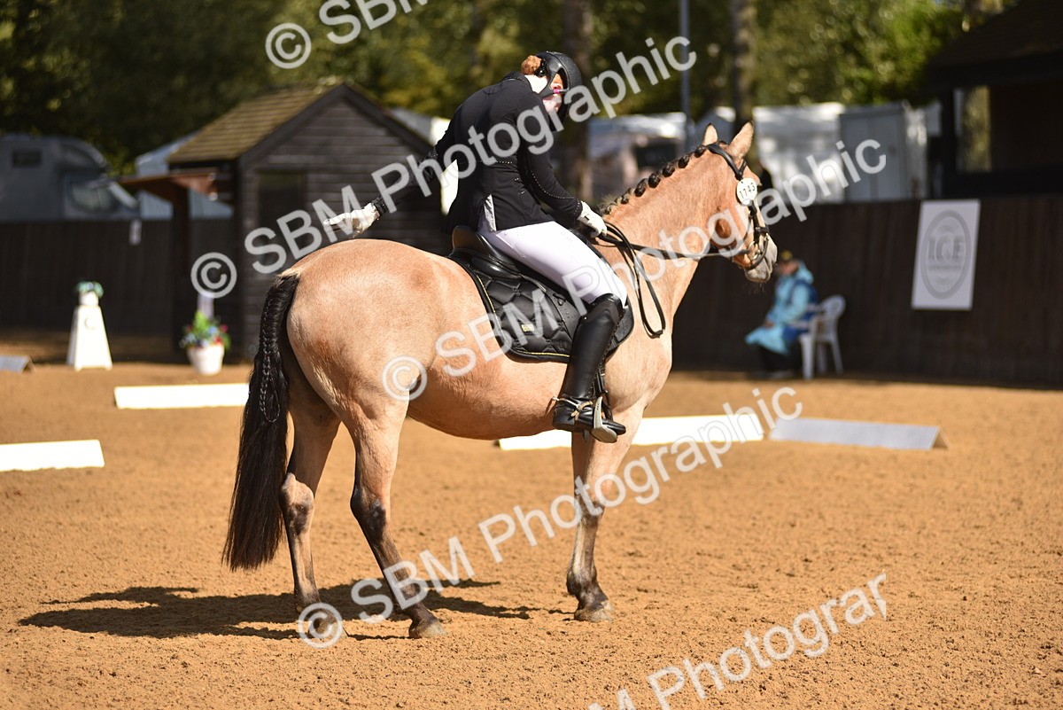 SBM_19949 - D4 - Small Tour Championship Intro 4