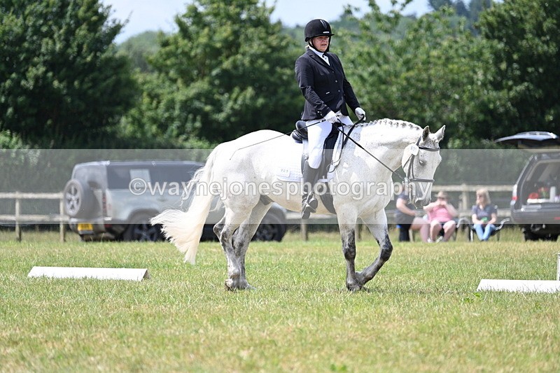 WJ7_4929 - Time 11:22 to 11:51