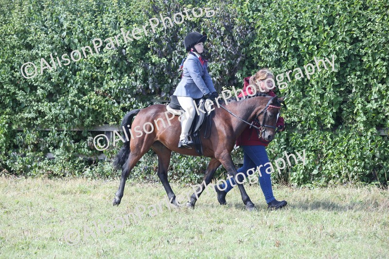 20250831-2618 - Class 17 - Lead Rein Pony