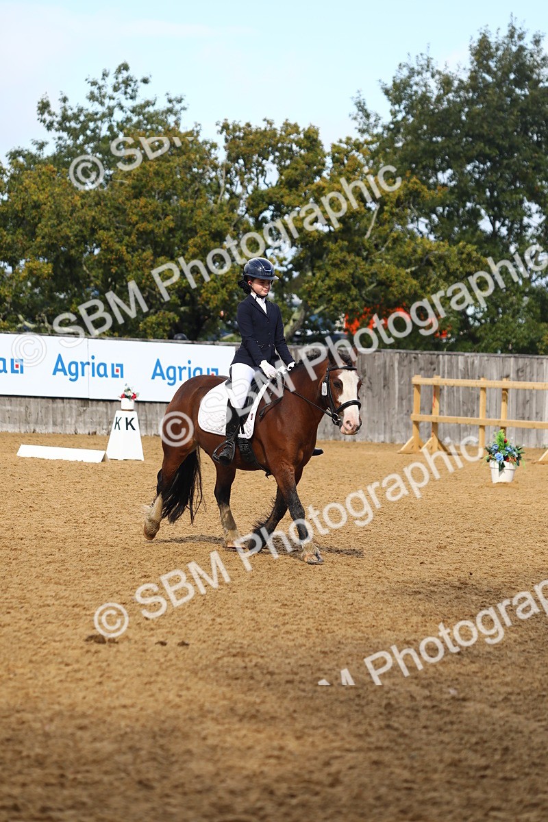 SBM_39029 - D21 - Junior Championship Intro 1