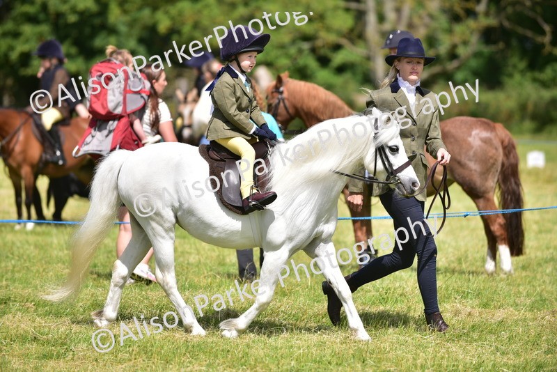 20260614-1167 - Class 11a - Lead Rein Pony (Unplaited)