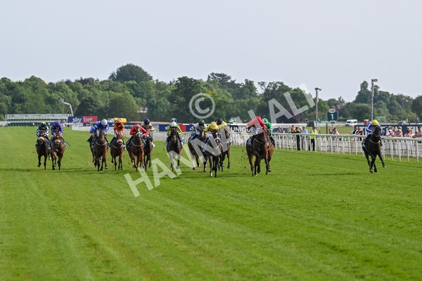 130625-Race 6-Forager-9903 - Race 6 4.45pm Constant Security Services Handicap