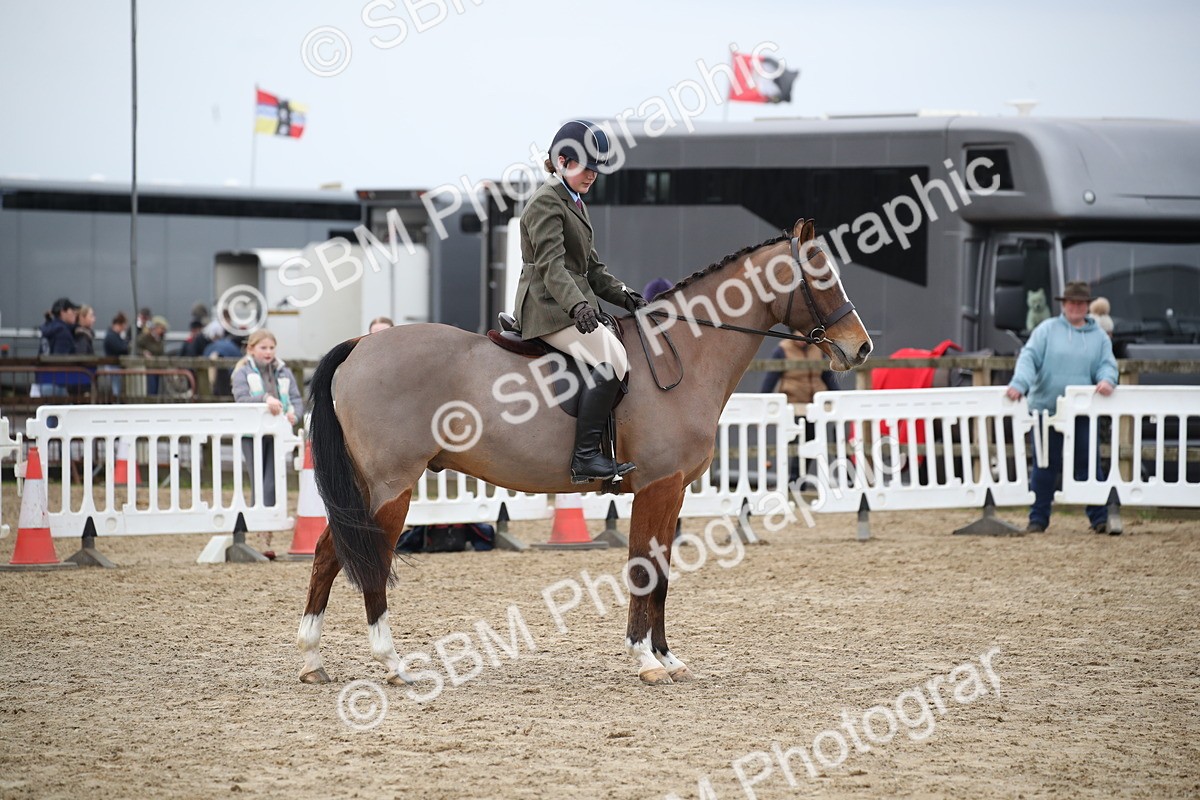 SBM_004763 - Class 5-9 - NPS In Hand-Show Hunter-Intermediate Ridden Inc Ridden Championship