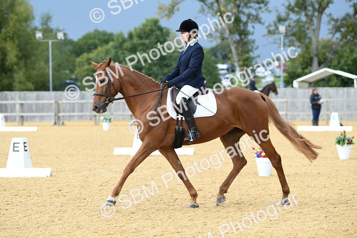 SBM_10995 - D28 Elementary Taster Elementary 42