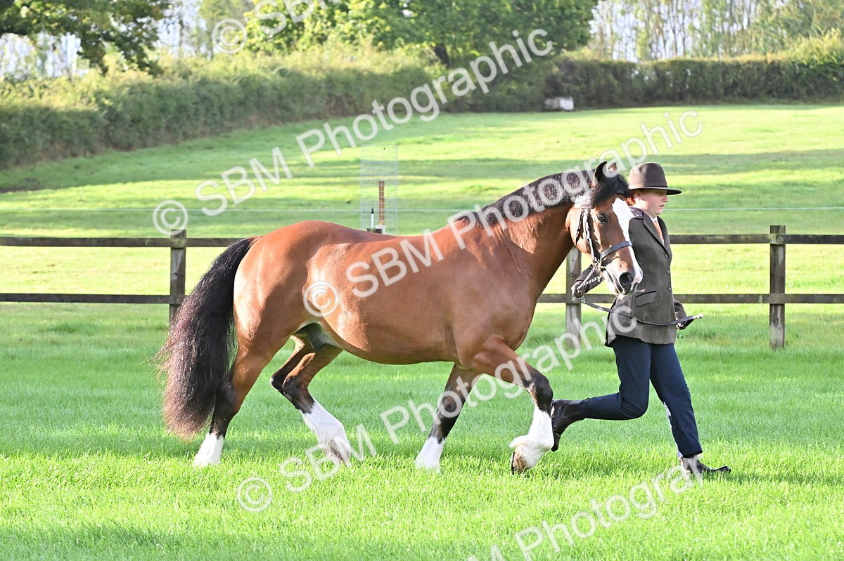 SBM_32613 - S15 - Top Turnout In Hand
