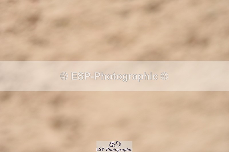 230813A-114106-12095 - Cls 48 Area Trial