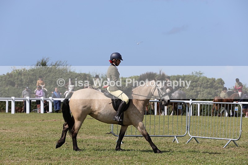 1X9A5544 - Class 38: NPS Novice Ridden Small and Large Breeds
