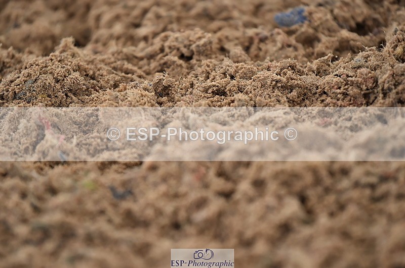 231029A-111102-02578 - Pony British Novice & 80cm Open