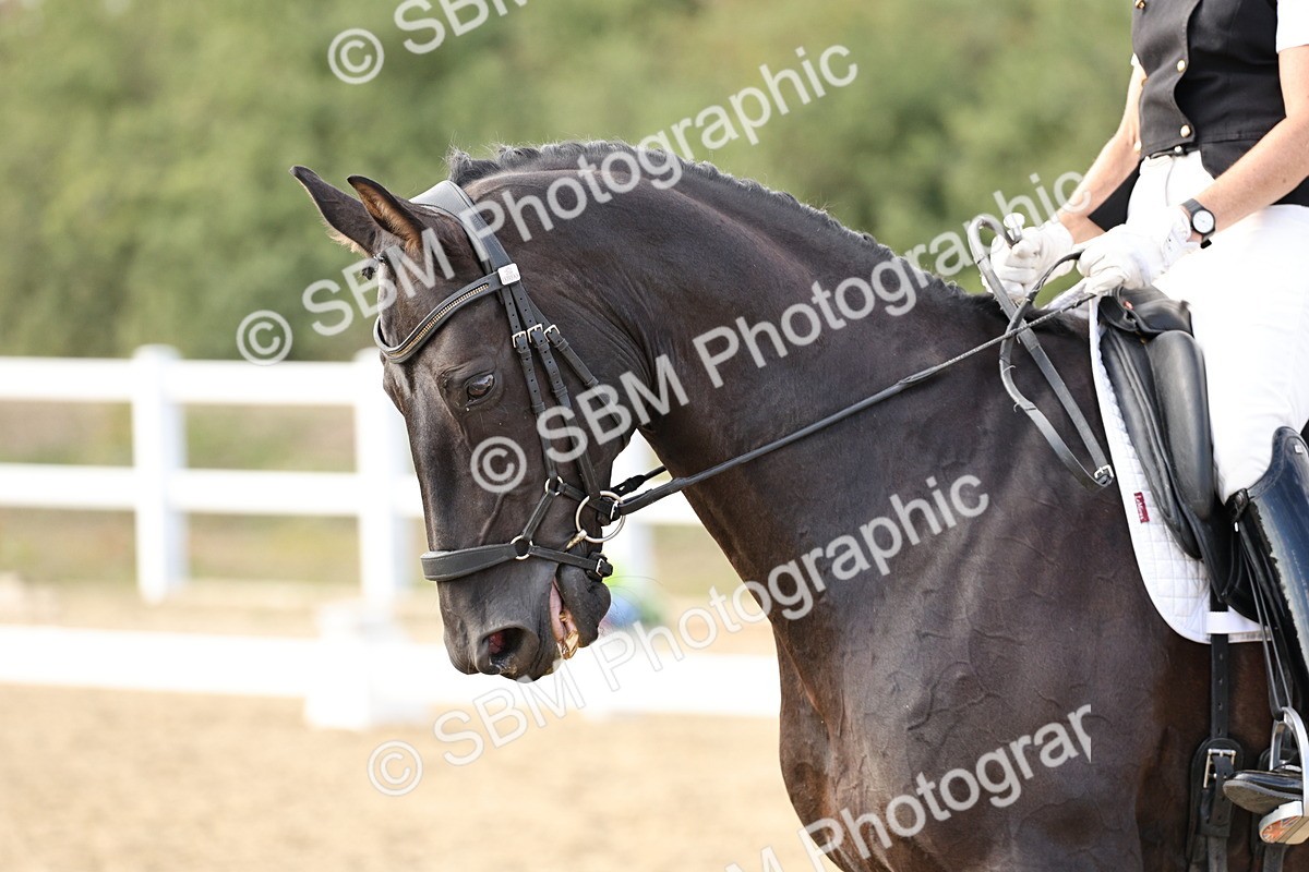 SBM_016260 - Class 10 - Advanced Medium 5