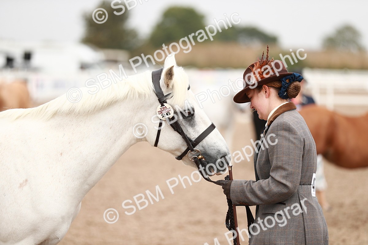 SBM_12537 - Class 207 IH M&M