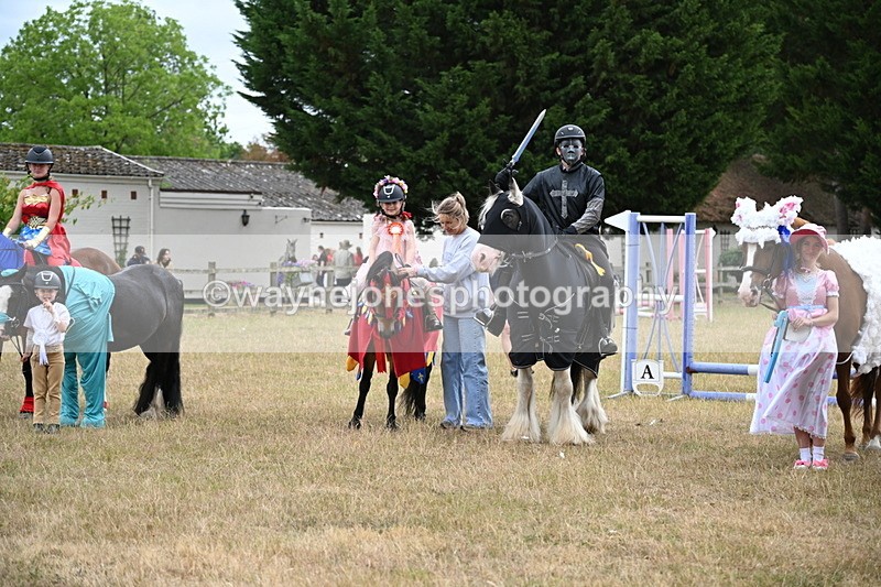 WJ6_9252 - Class 11 Fancy Dress