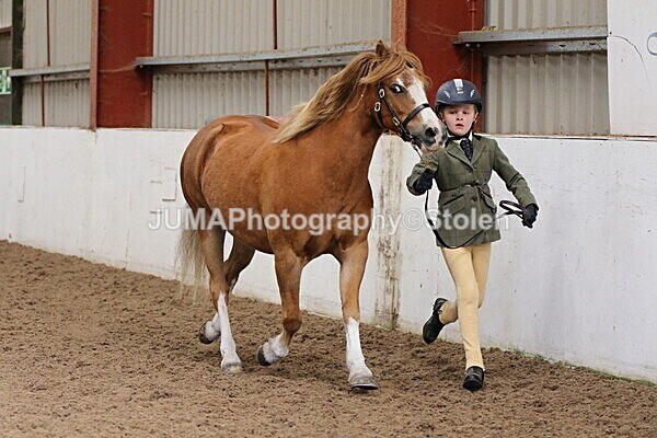 SIAL0477 - Small Arena - Saturday