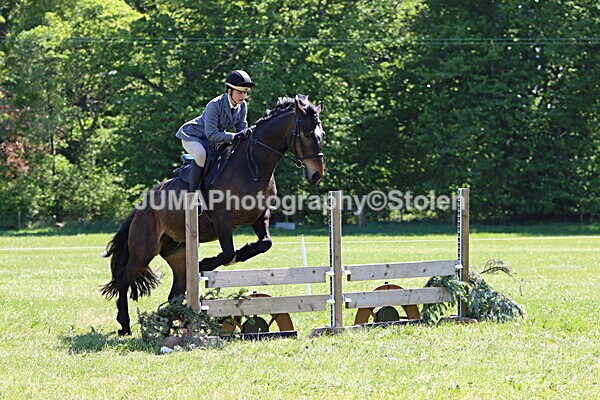 IMG_4030 - Working Hunter
